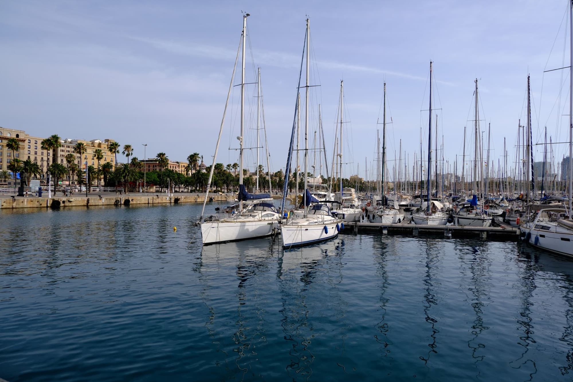 Sailboats moored in a quiet marina
