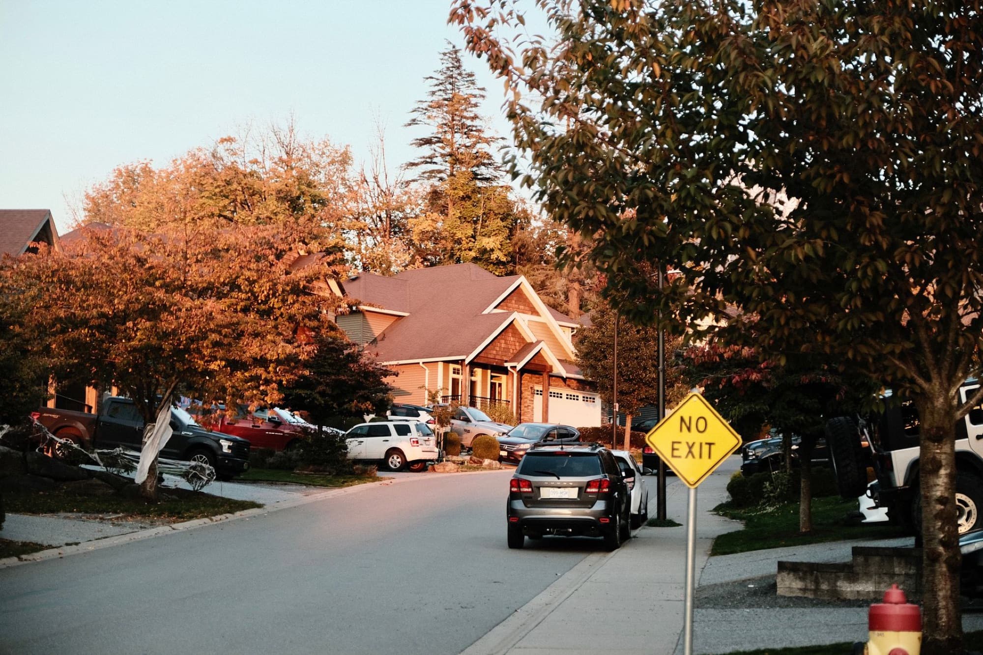 A tree-lined street of family homes on a clear autumn afternoon